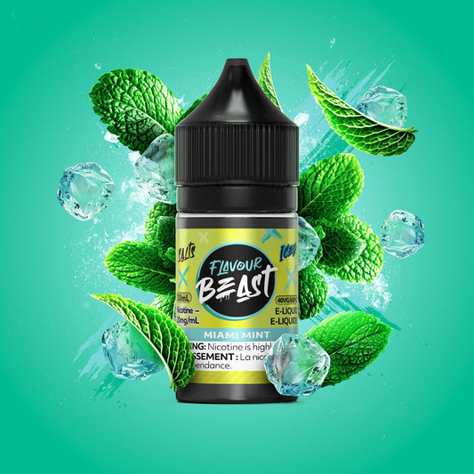 FB Salt 20 Miami Mint
